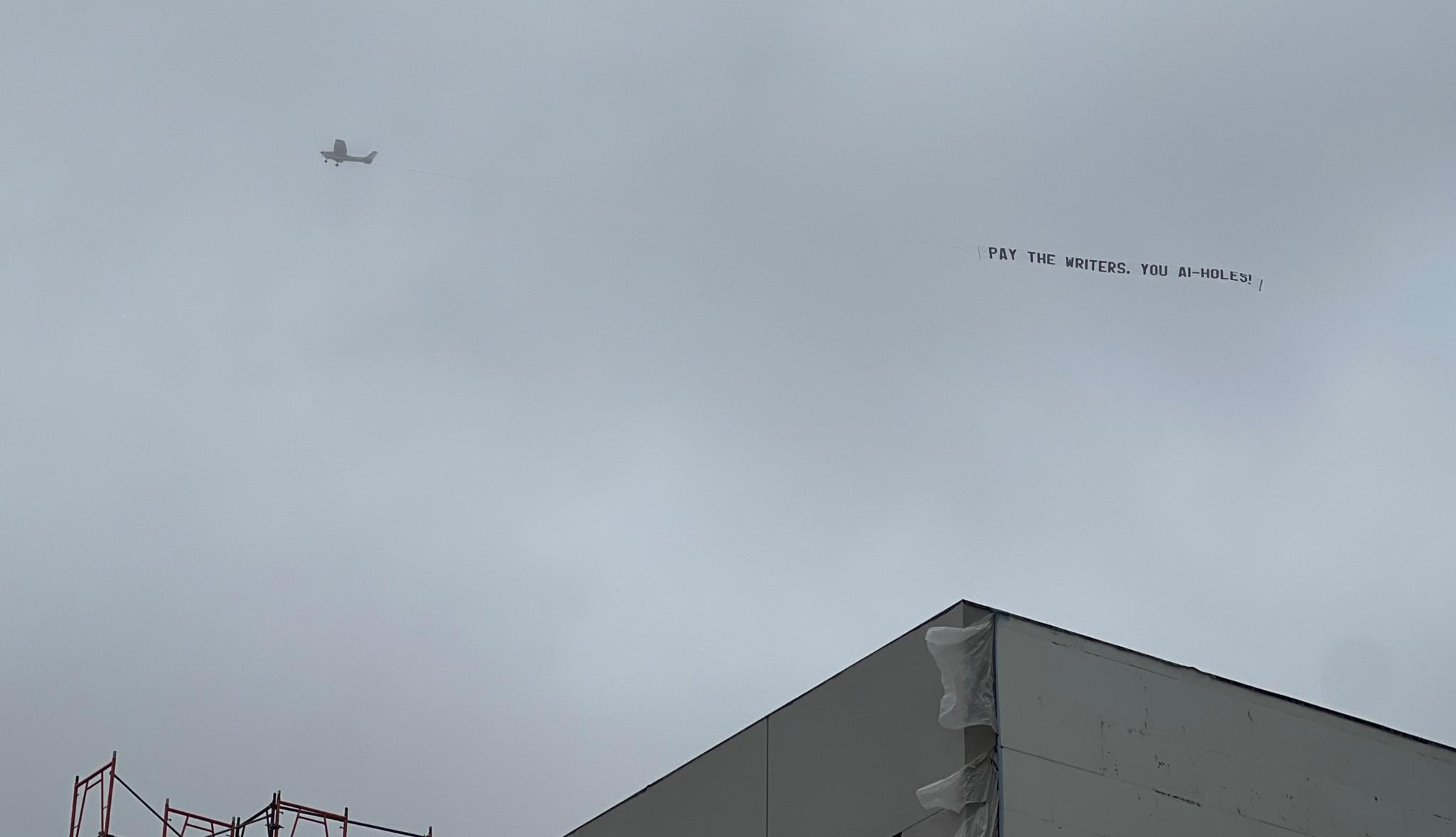 Airplane over Sony