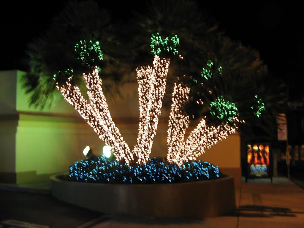 Paramount Christmas Entry Palms, 2006 (Photo by Karen Weilacher)
