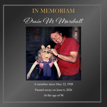 Drain Marshall